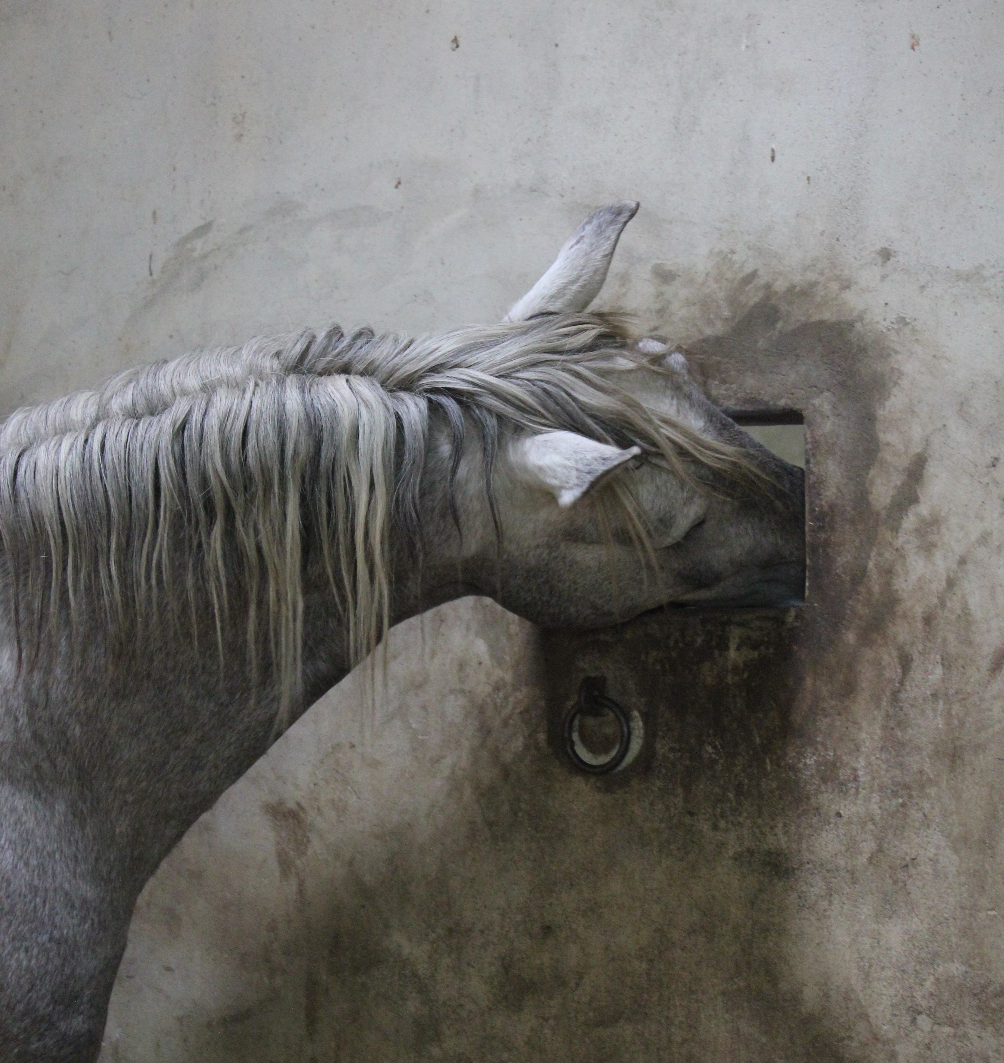 Utelias tutkija hankimassa tietoa